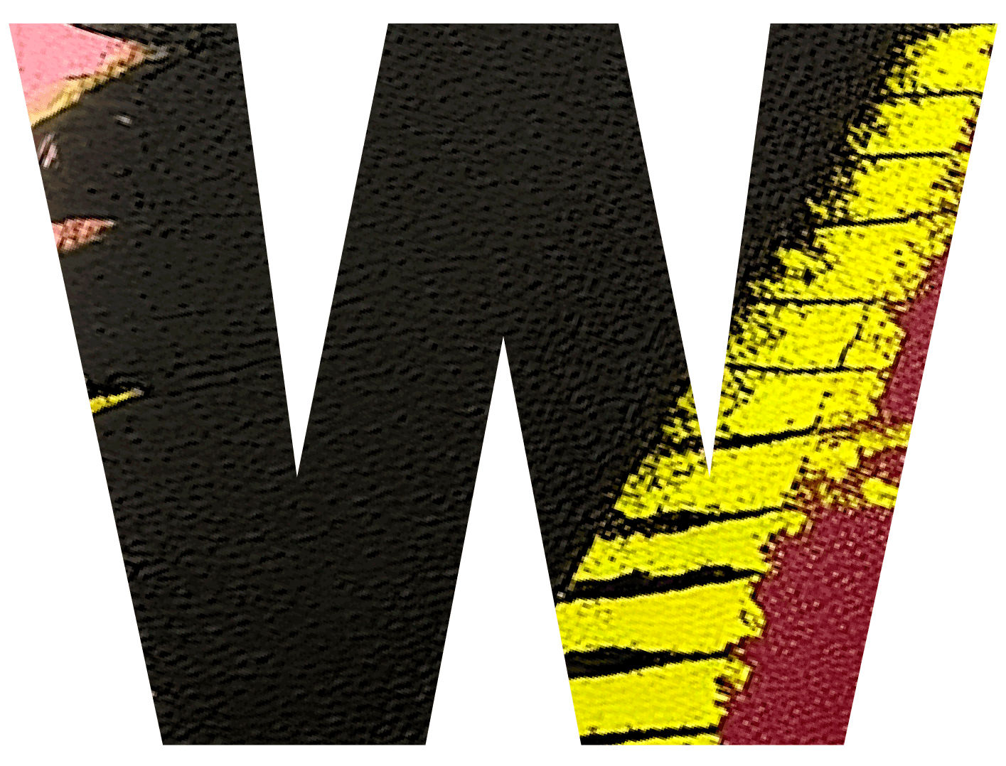 wladimirjm.com